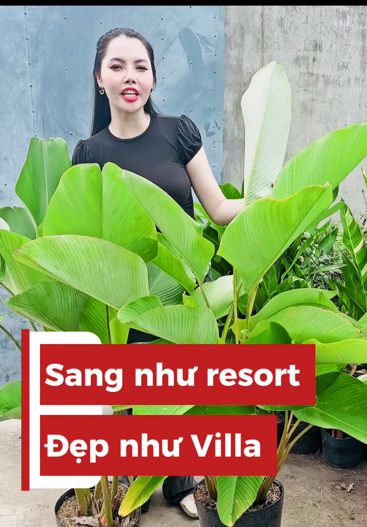 @Tiệm Lá Nhỏ
