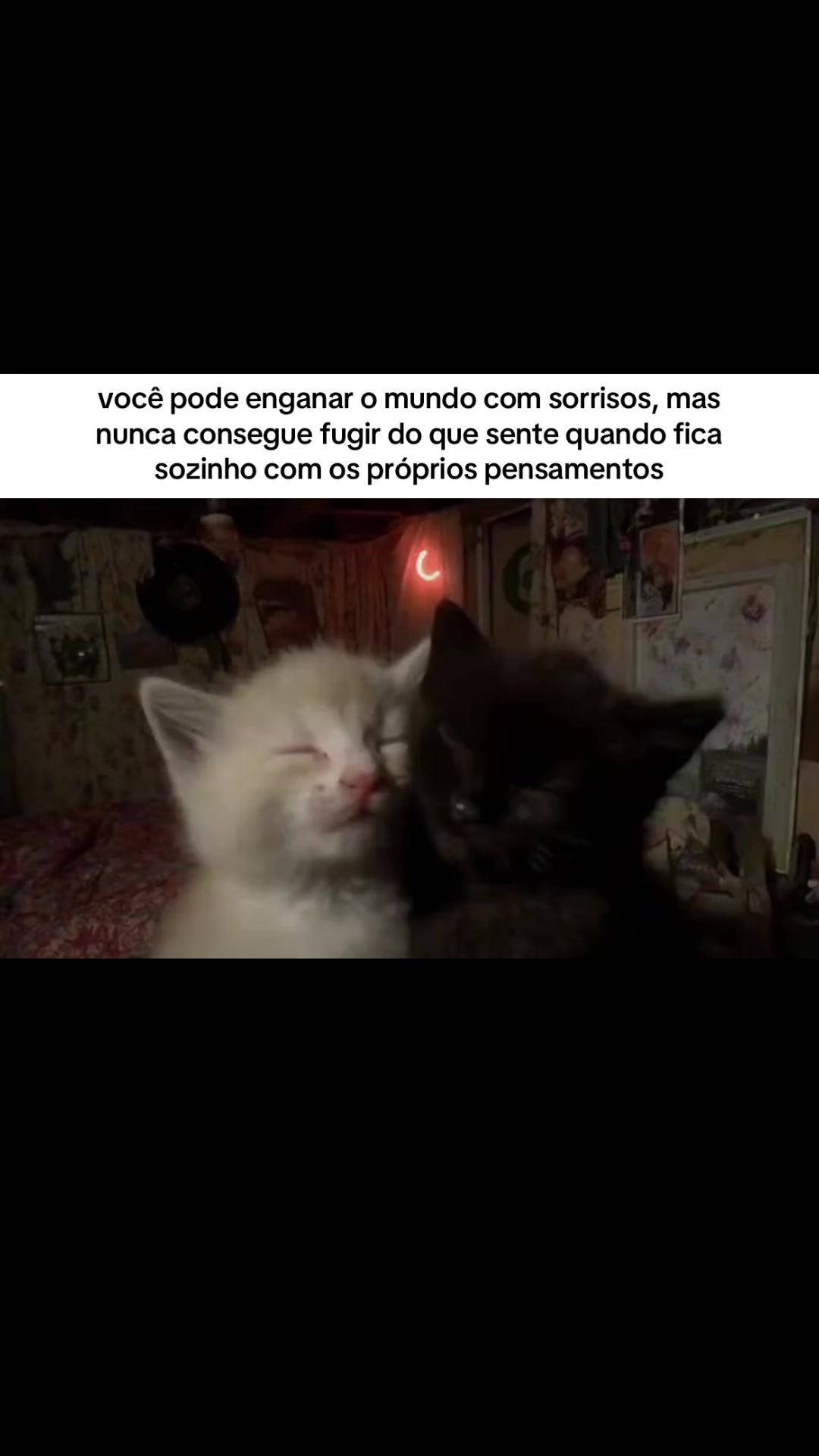 @ℓυᴄคร ᯓ★⁶⁷⁶⁷