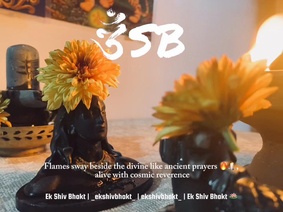 @Ek Shiv Bhakt 🪷