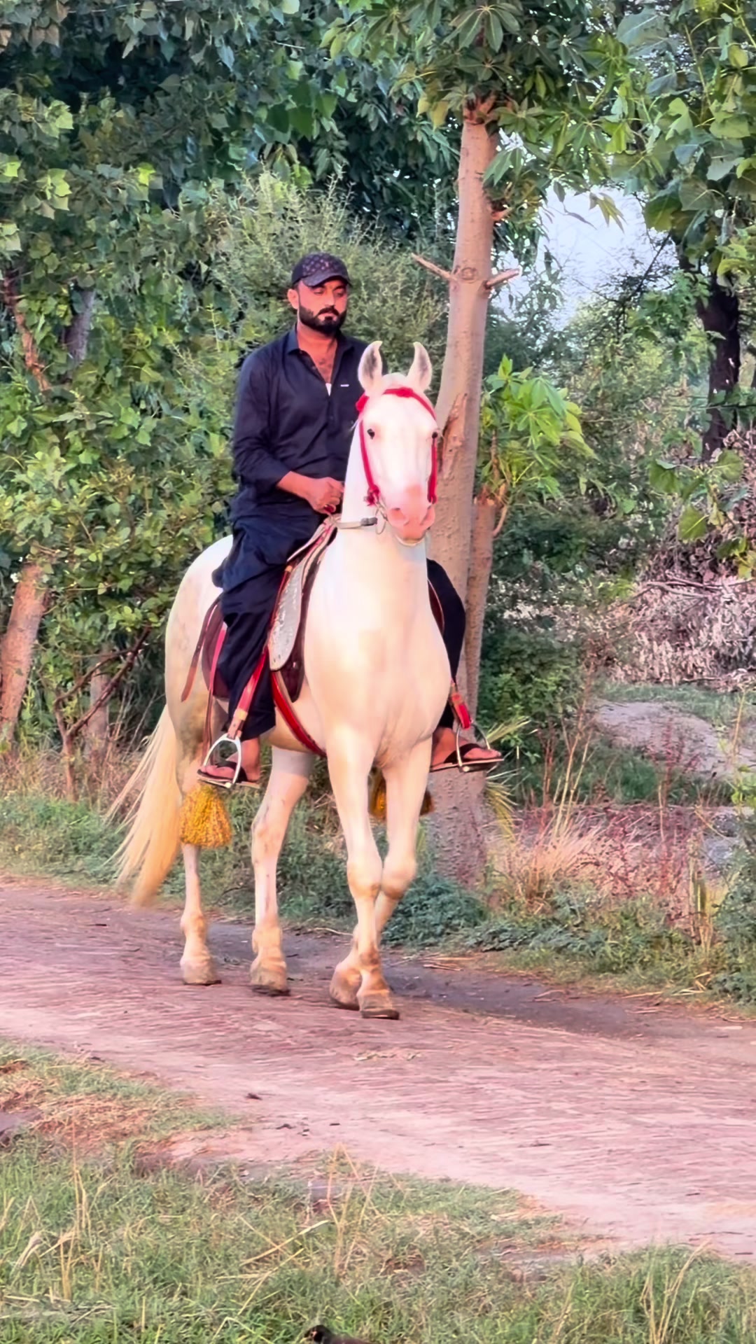 @Faisal Altaf Bosal