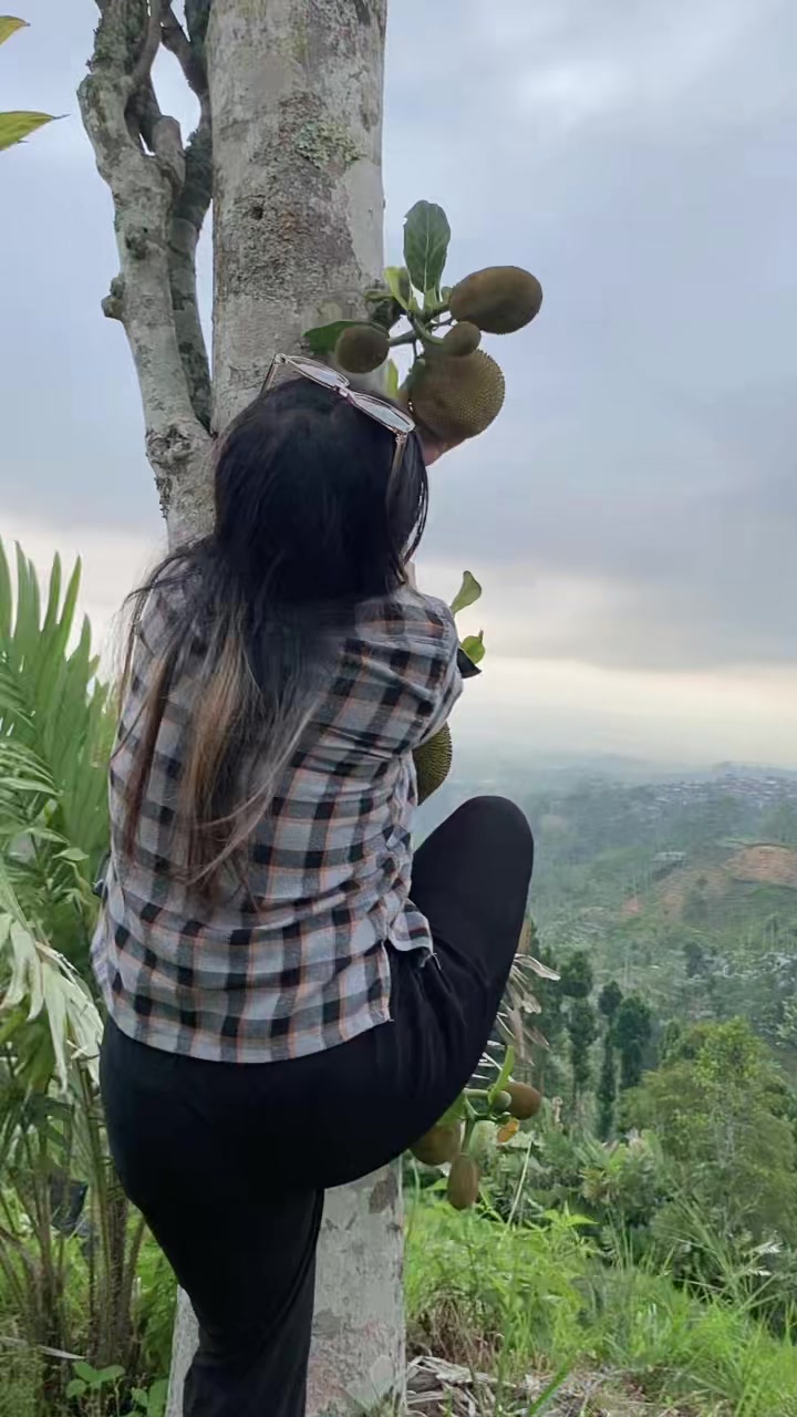 @mmakcinda01