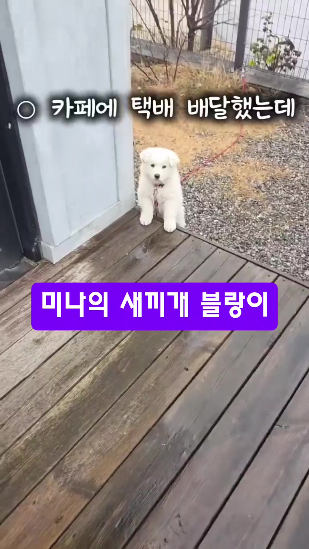 @하필유필