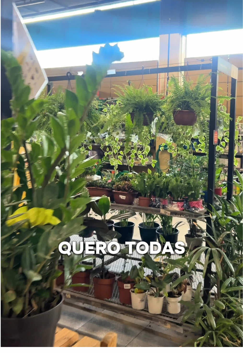 @podechamardeyas