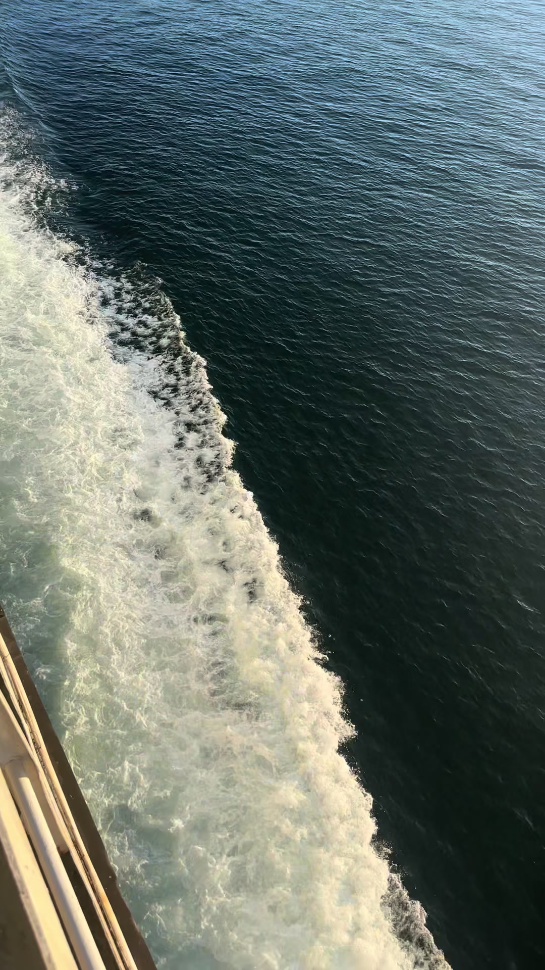 @FAA🦋