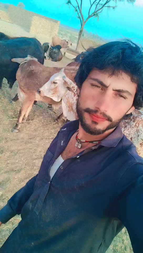 @Alishar 133