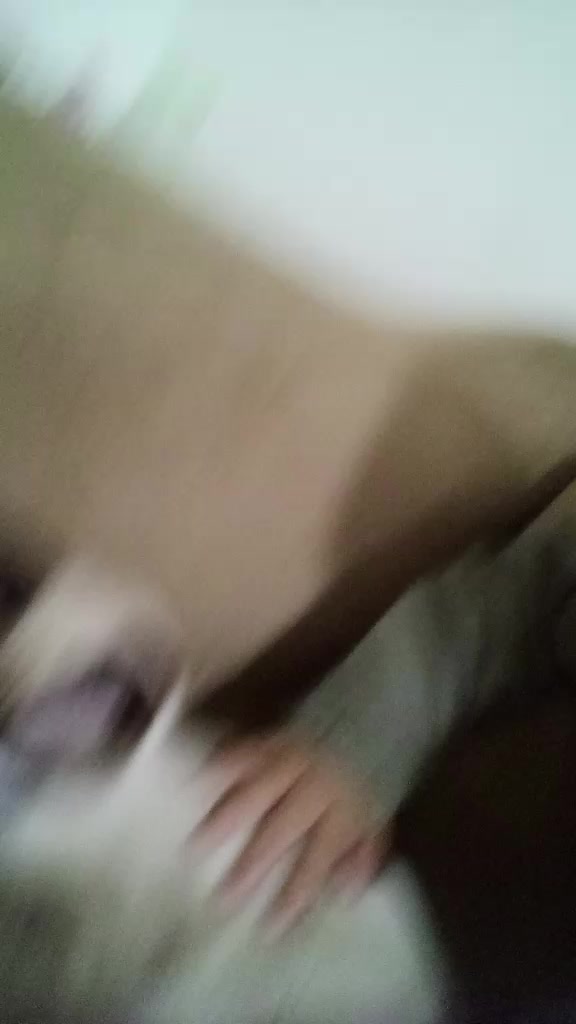 @⏤͟͟͞͞✰☾-_𝐷𝑎𝑛𝑛𝑦_-☽✰☆⏤͟͟͞͞