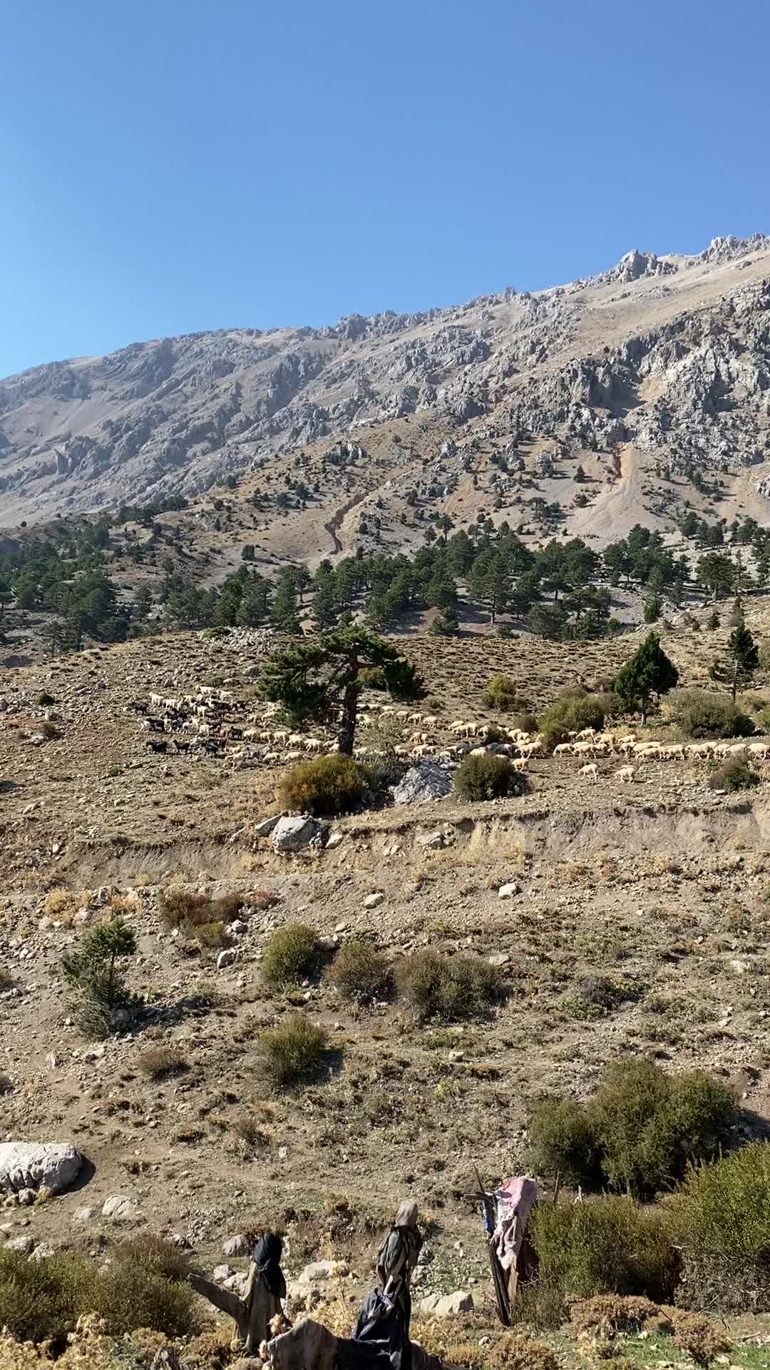 @Sarıtaş
