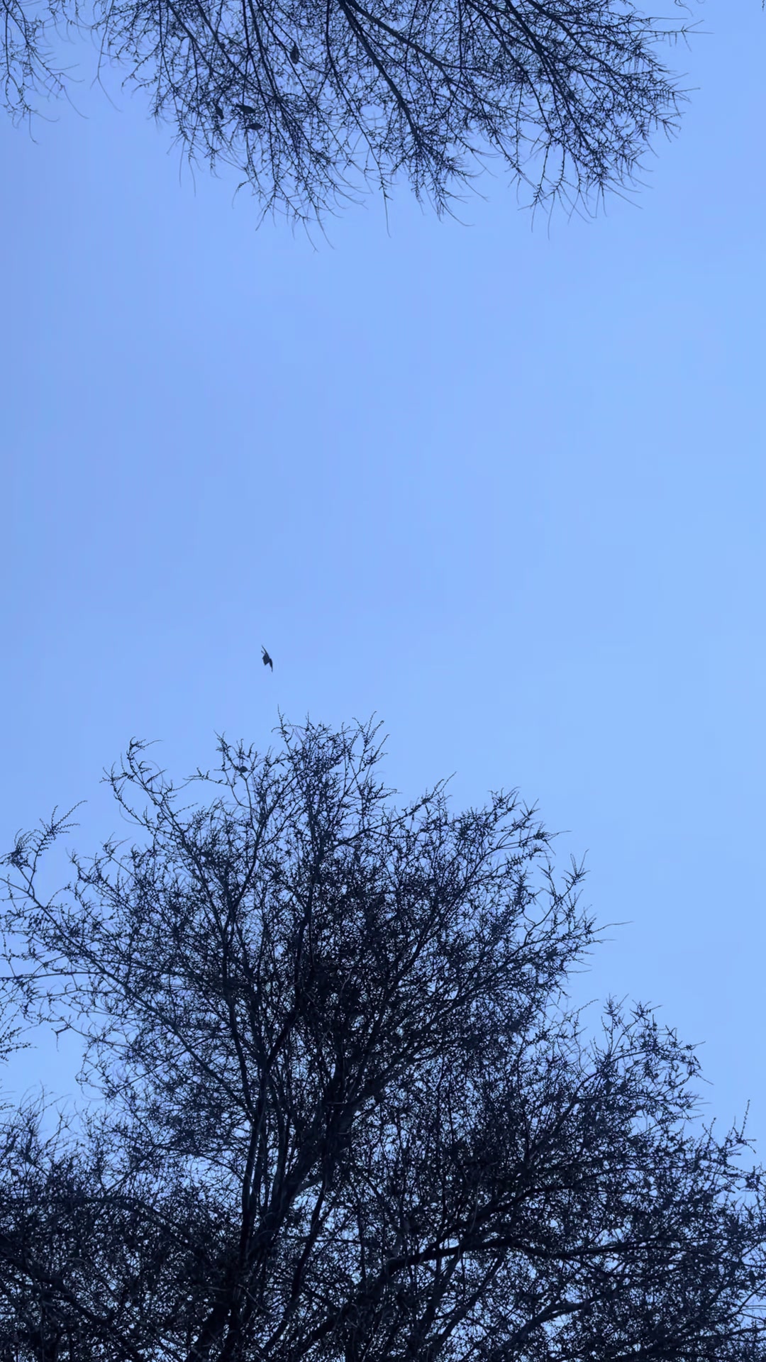 @sterbestunde