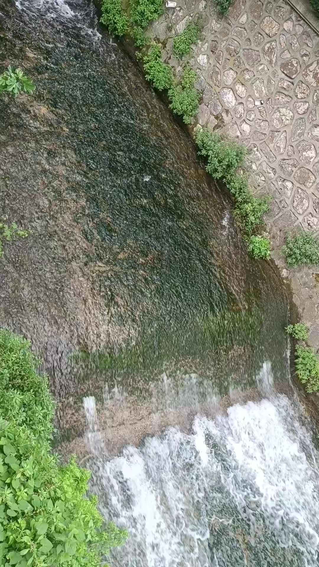 @Sarı