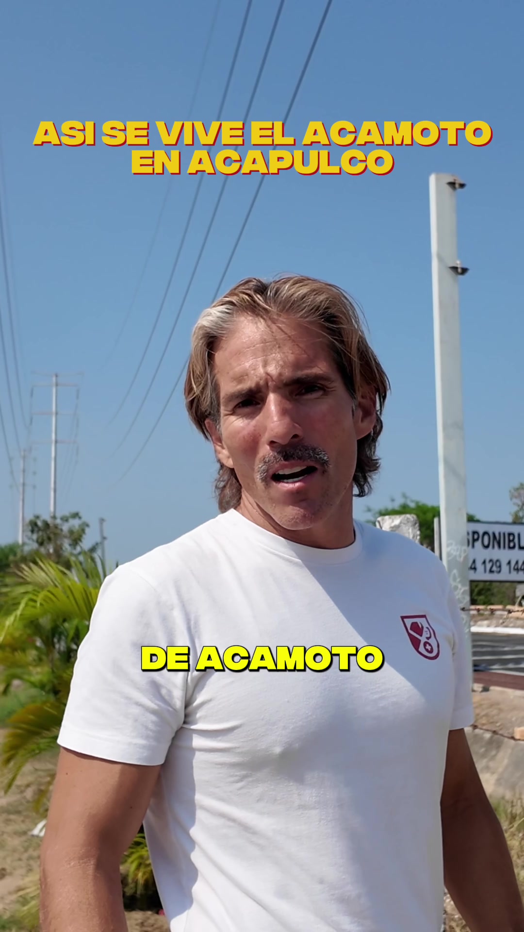 @Fernando Reina