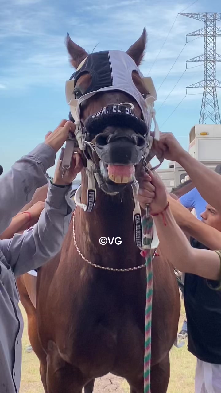 @Valeria González🏇❤️🔥