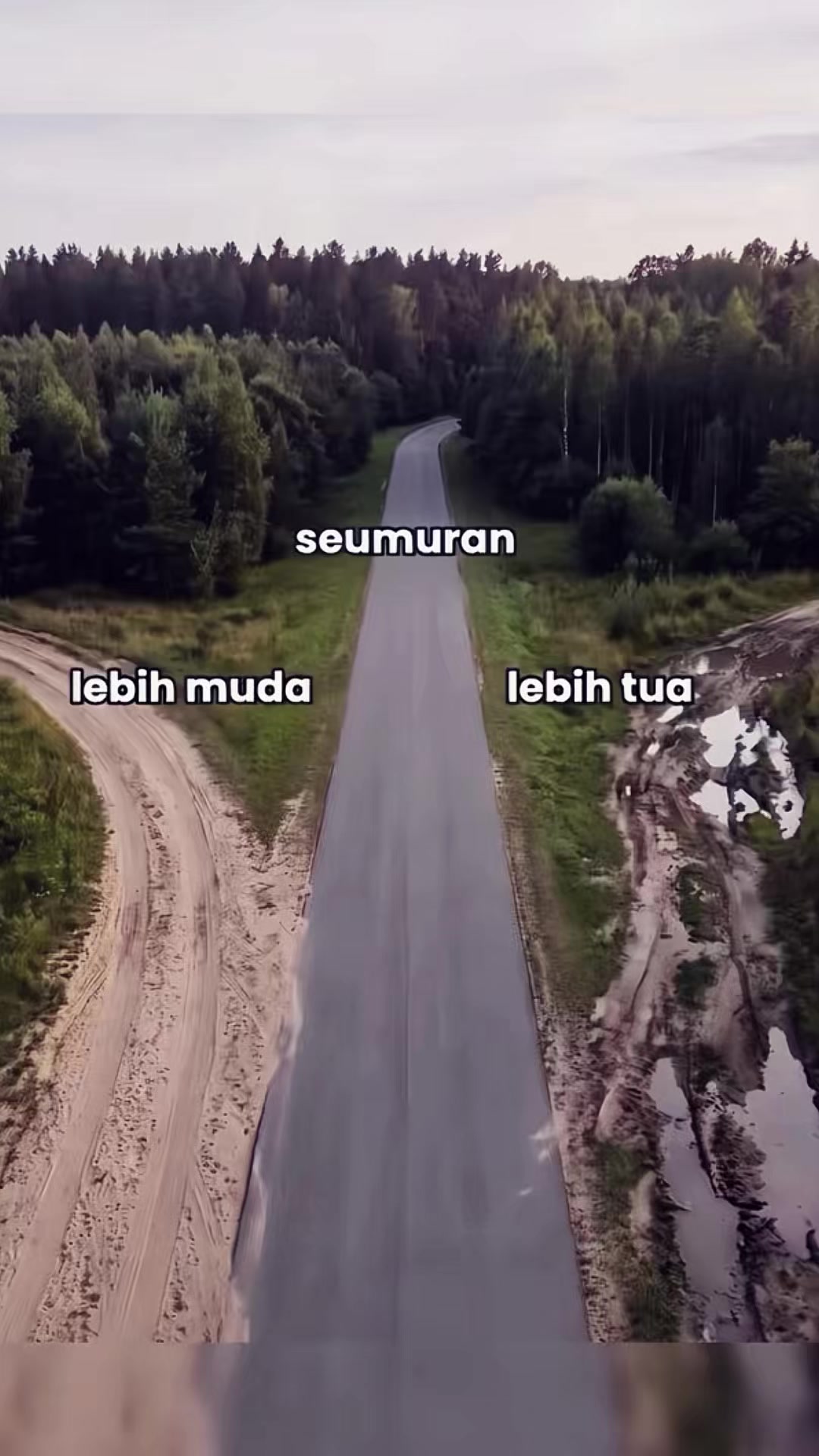 @˖ ࣪ &lsaquo;𝙆𝙚𝙠𝙣𝙞𝙯 ࣪ ᥫ᭡