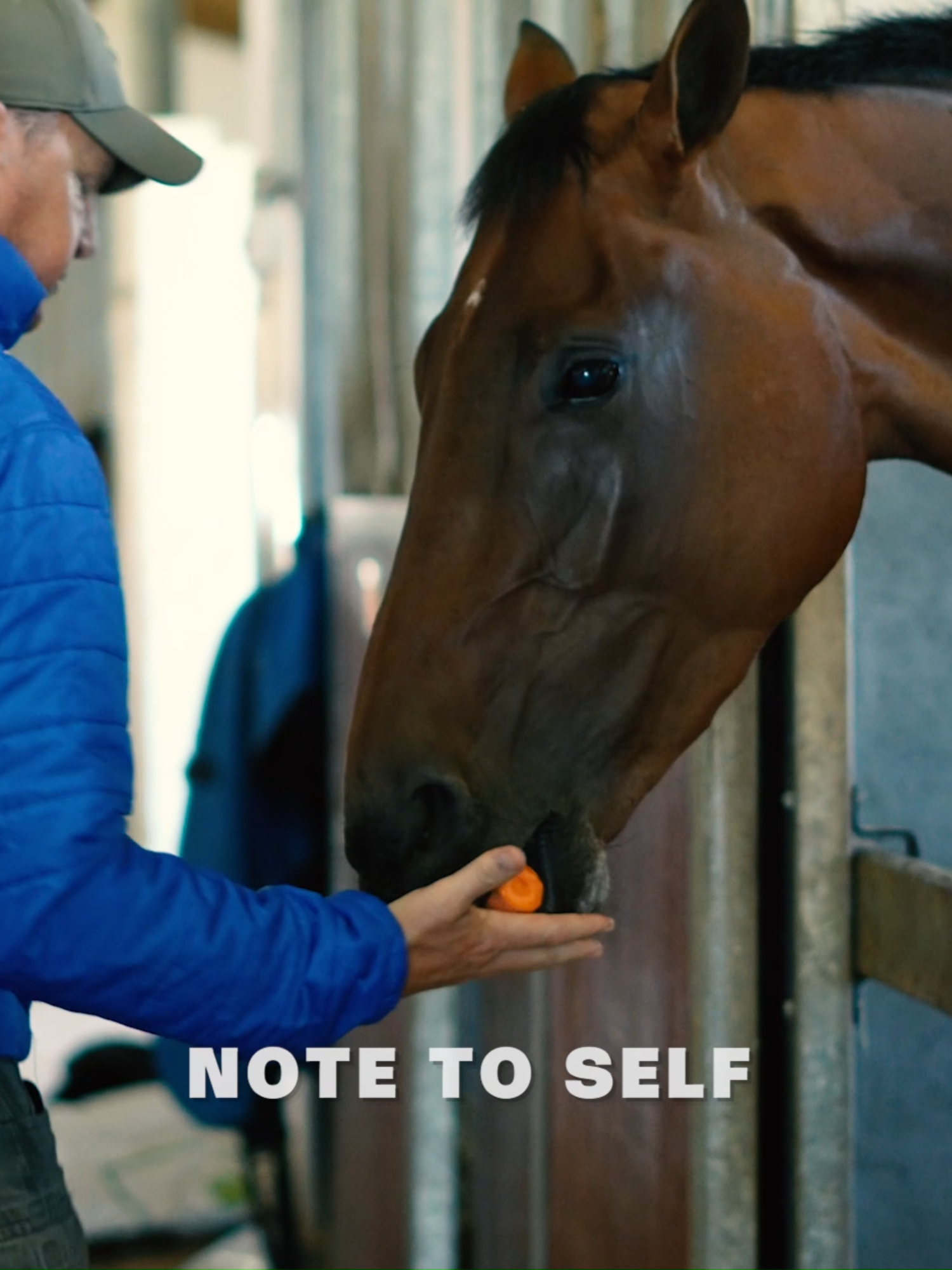 @Gallop TV