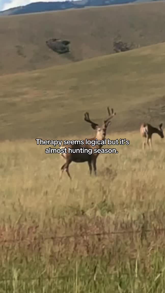 @James
