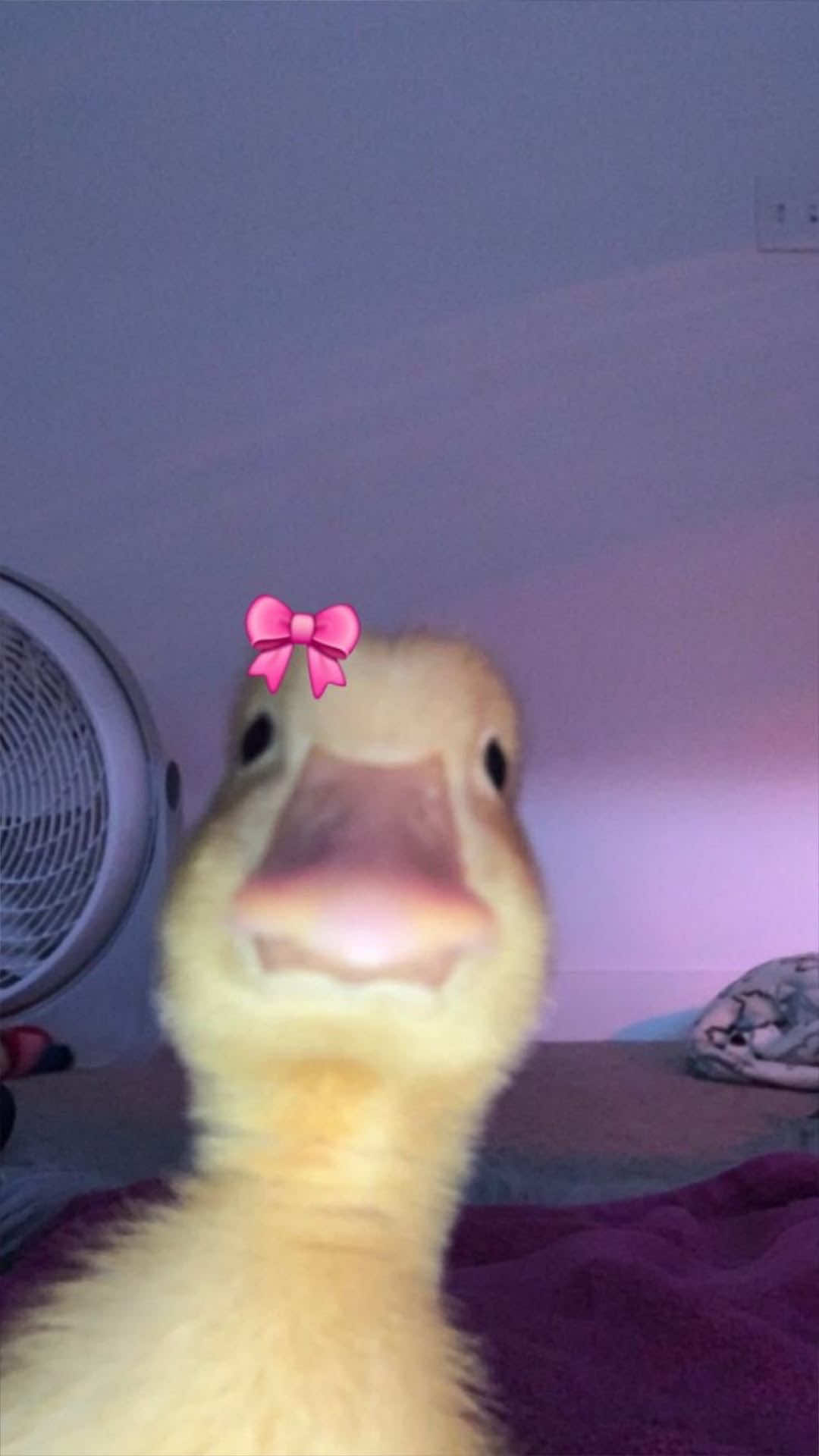 @@m۶ৎ