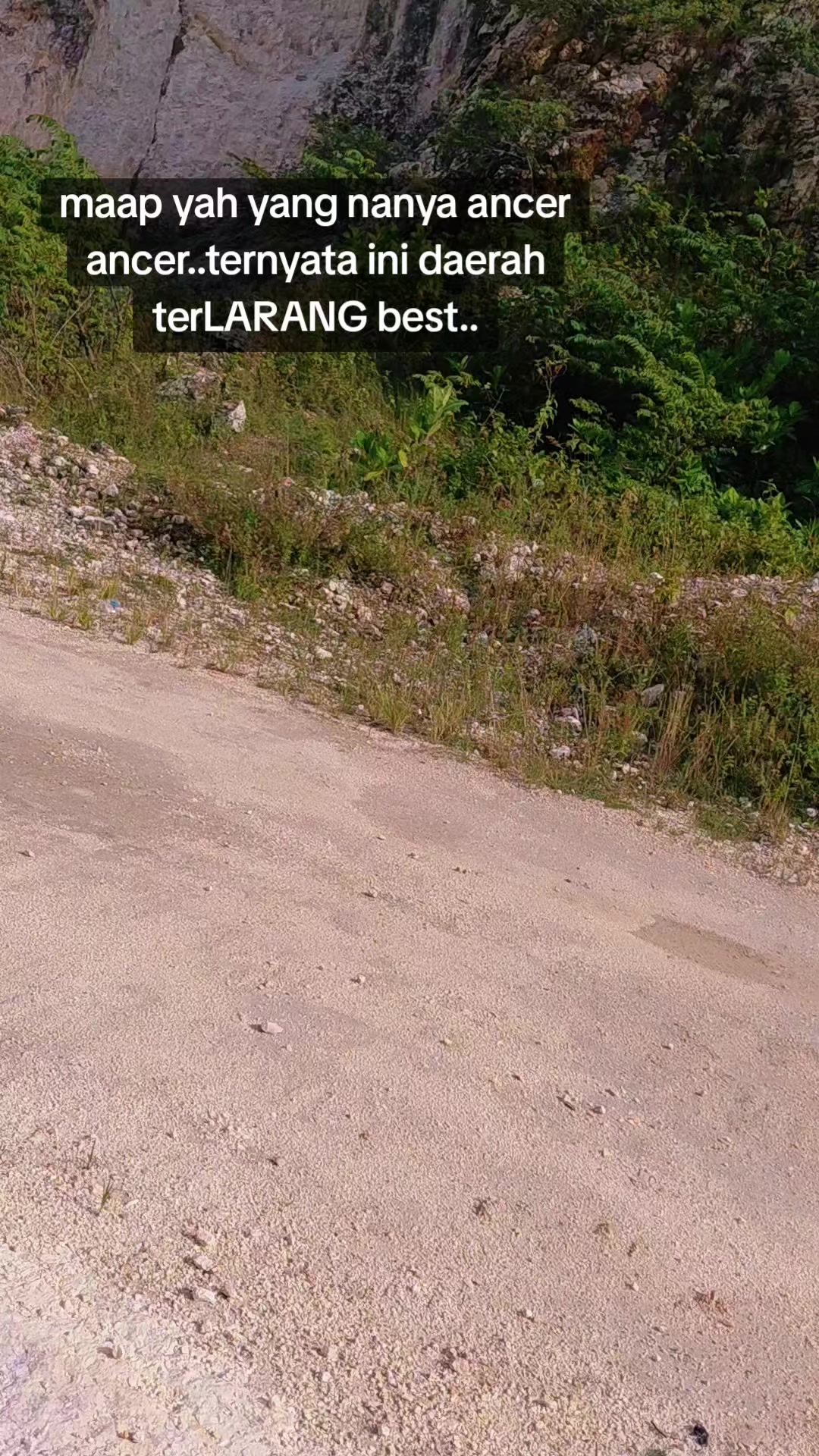 @Bibik Lung