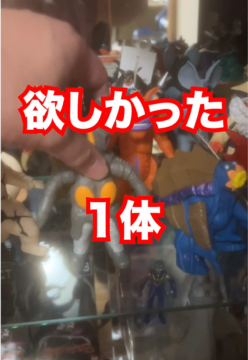 @たすあに【特撮おもちゃ収集家】