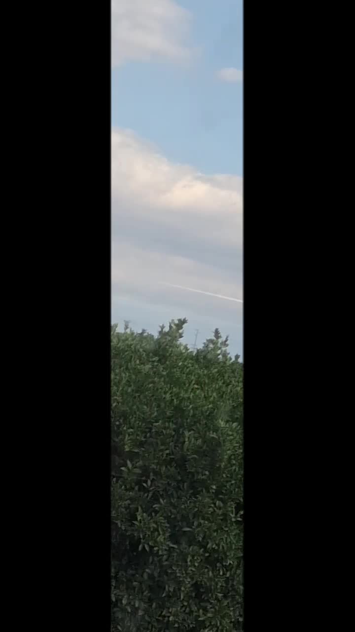 @elchingon640