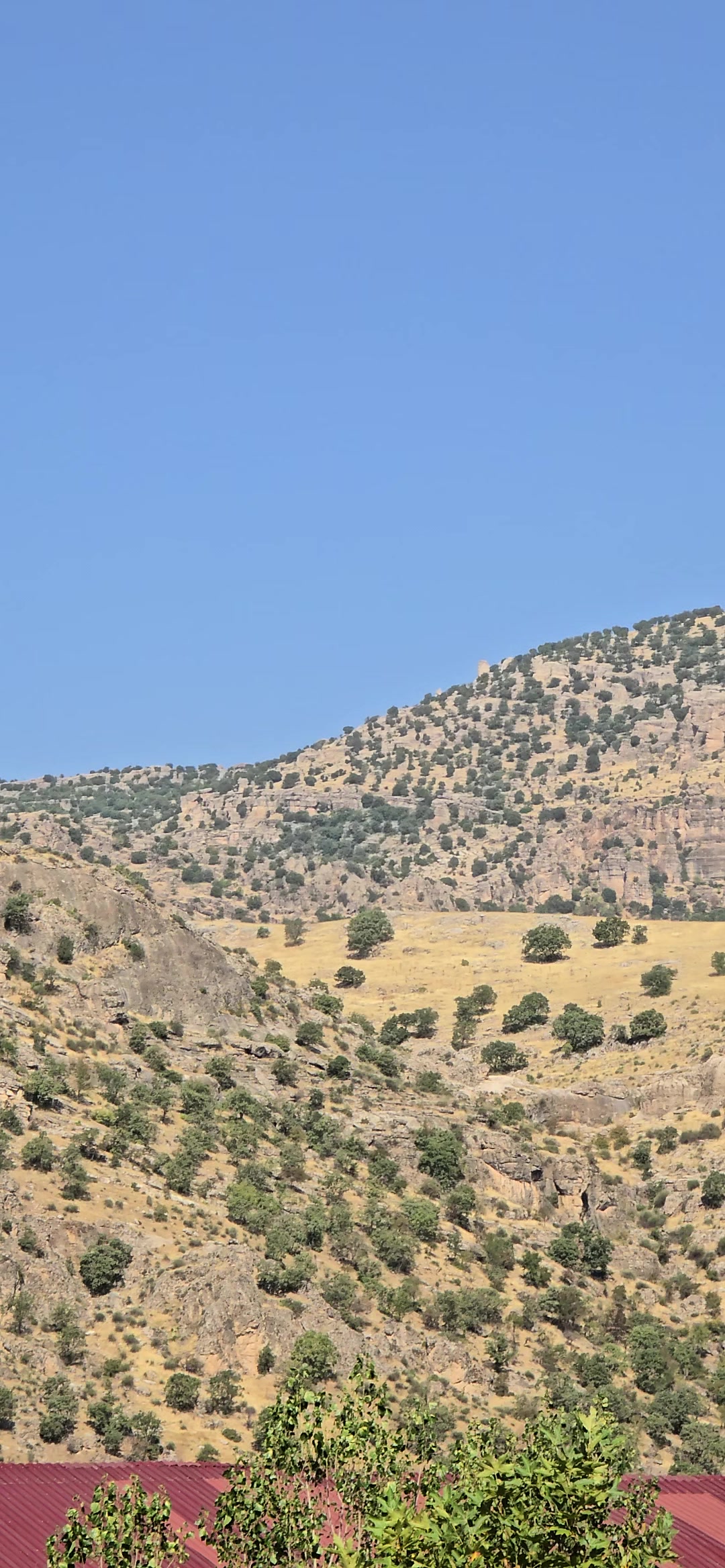 @bilousta