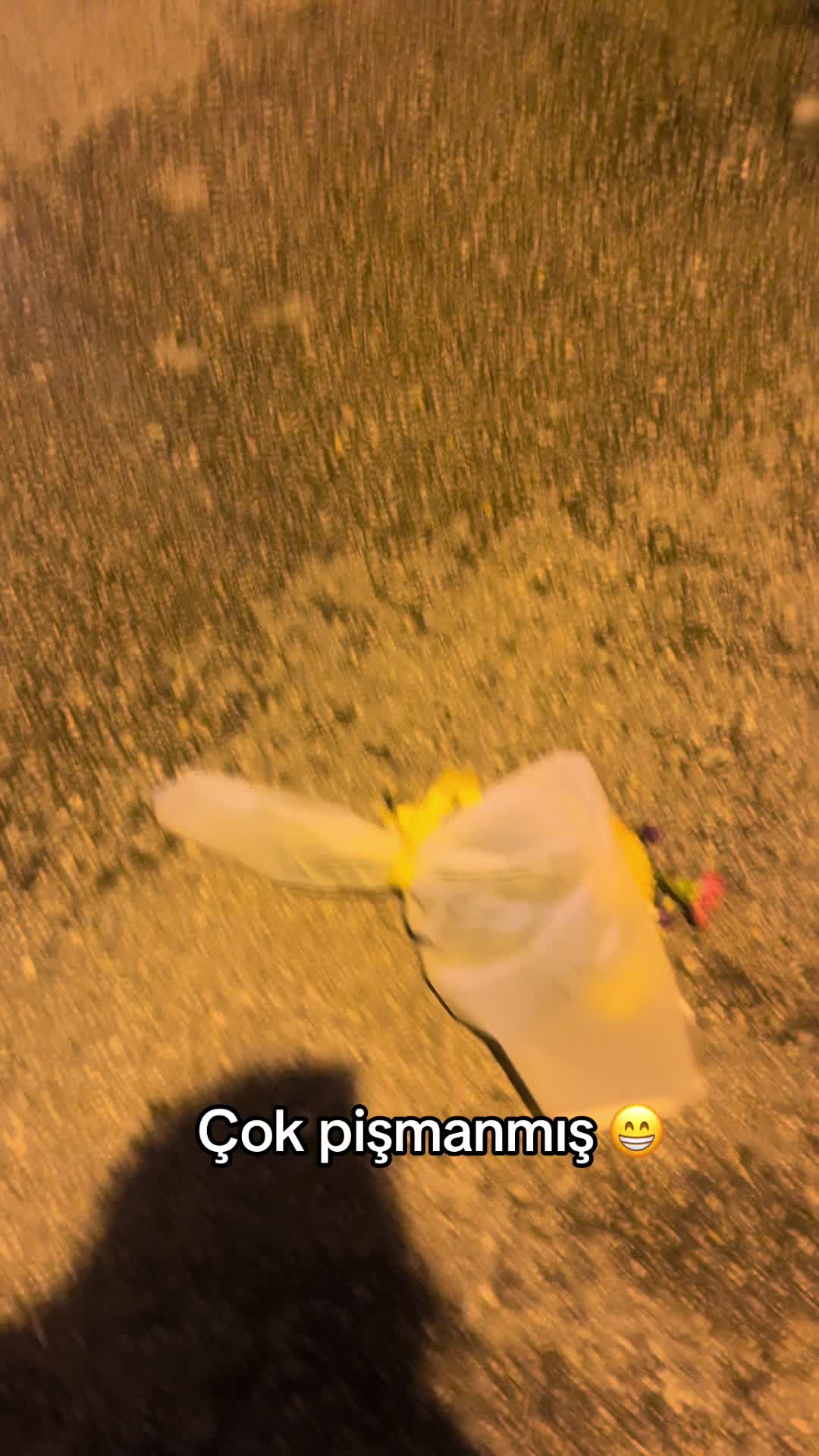 @_azraiss