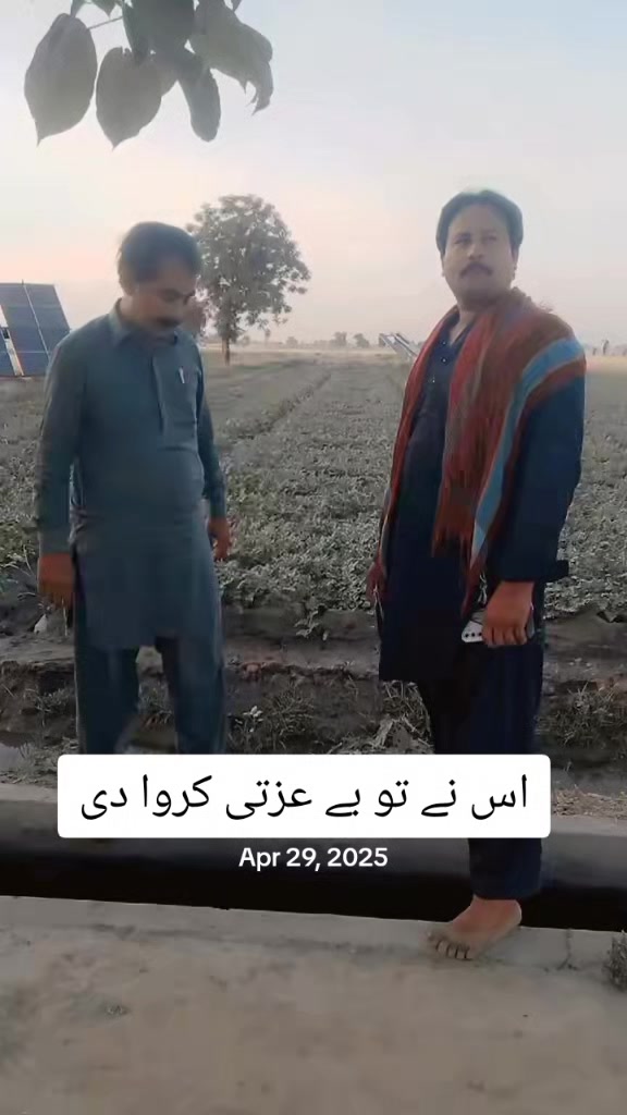 @moazam ali 4691
