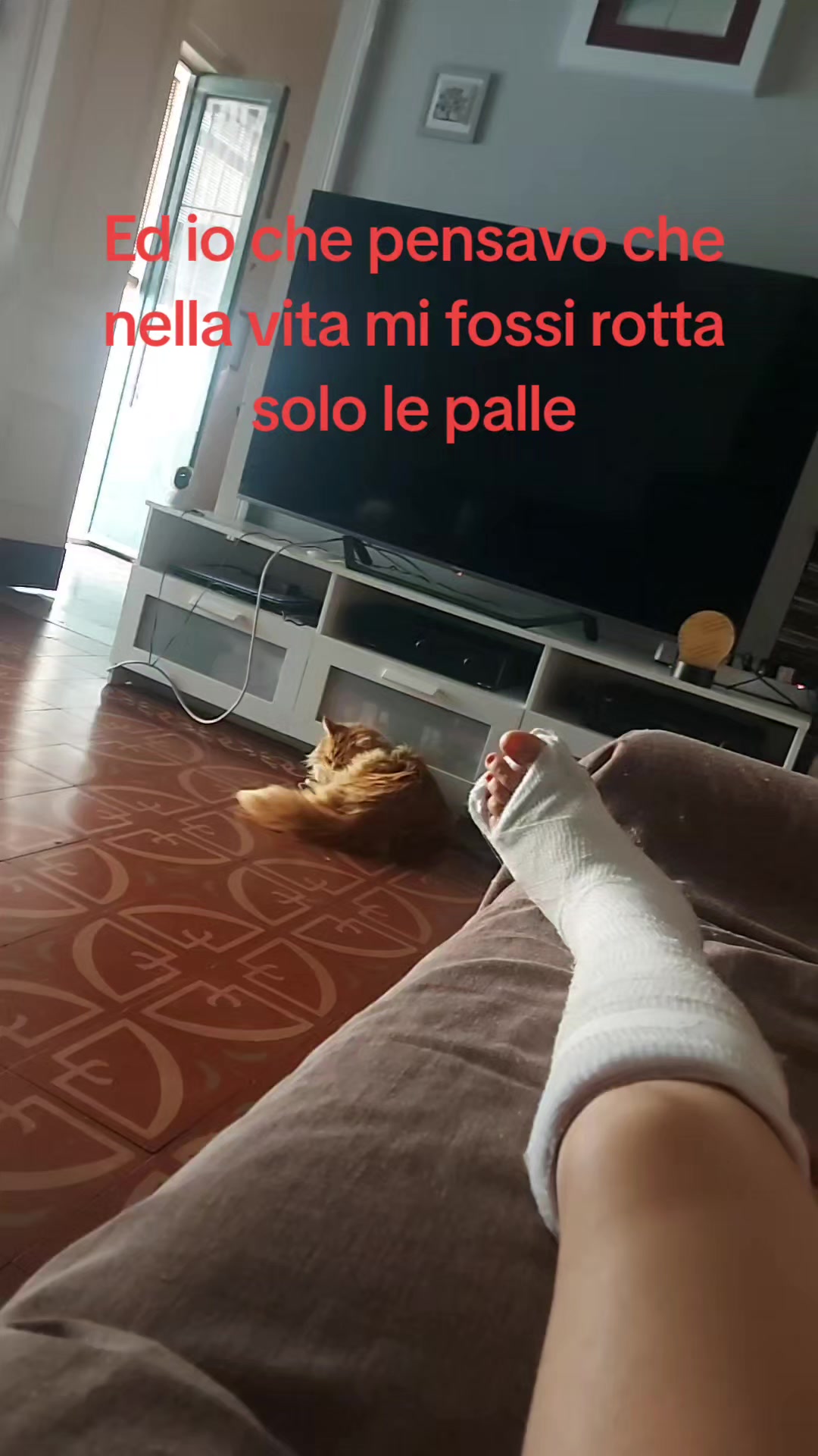 @Daniela Pernice