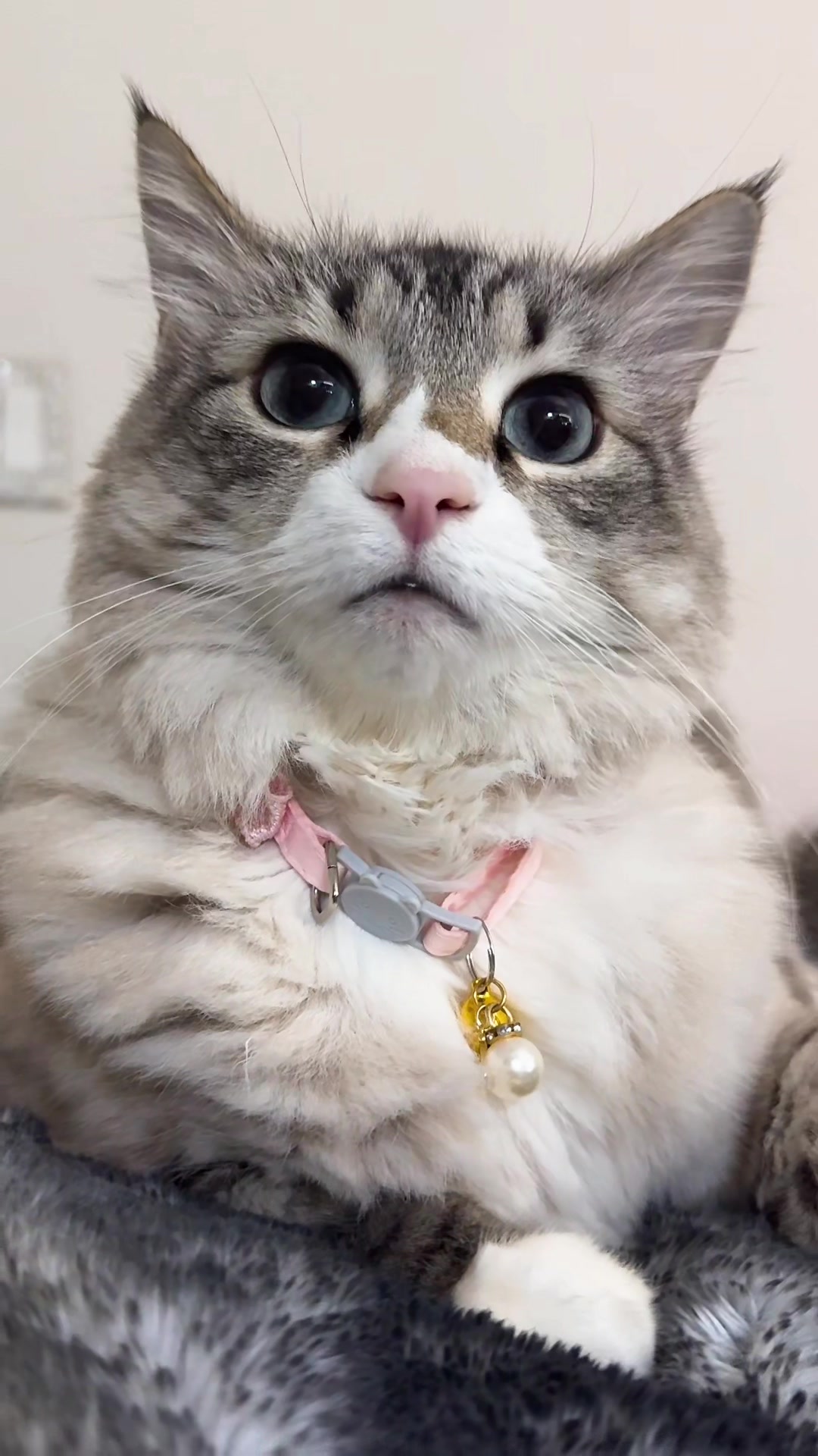 @beheshtxx