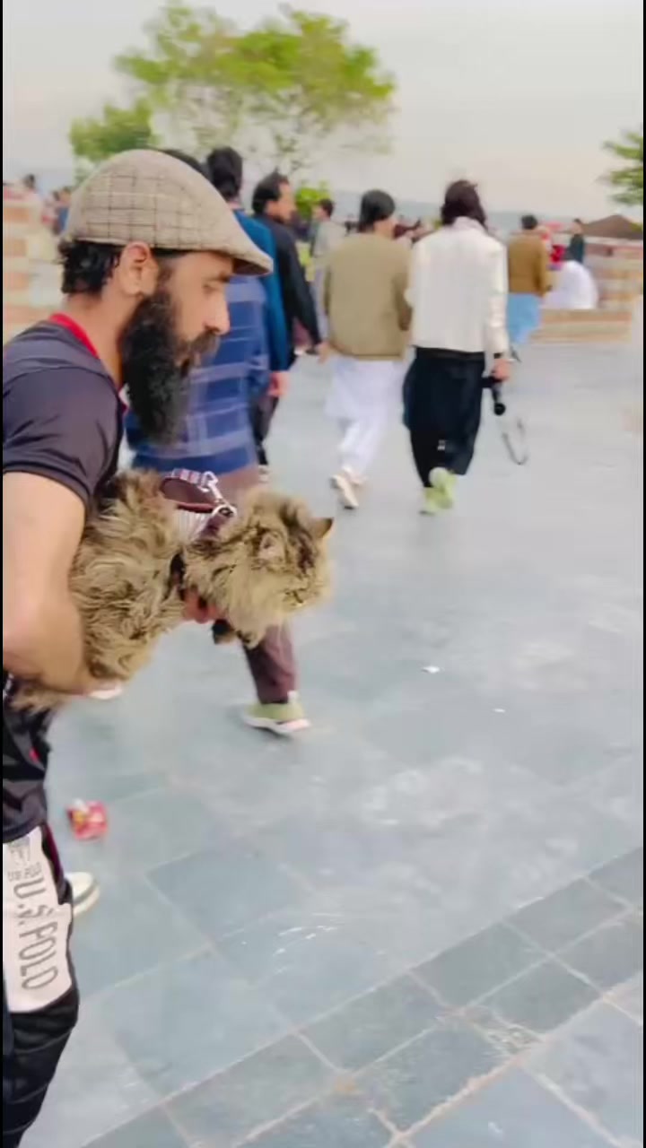 @Arshad skater sulemani7