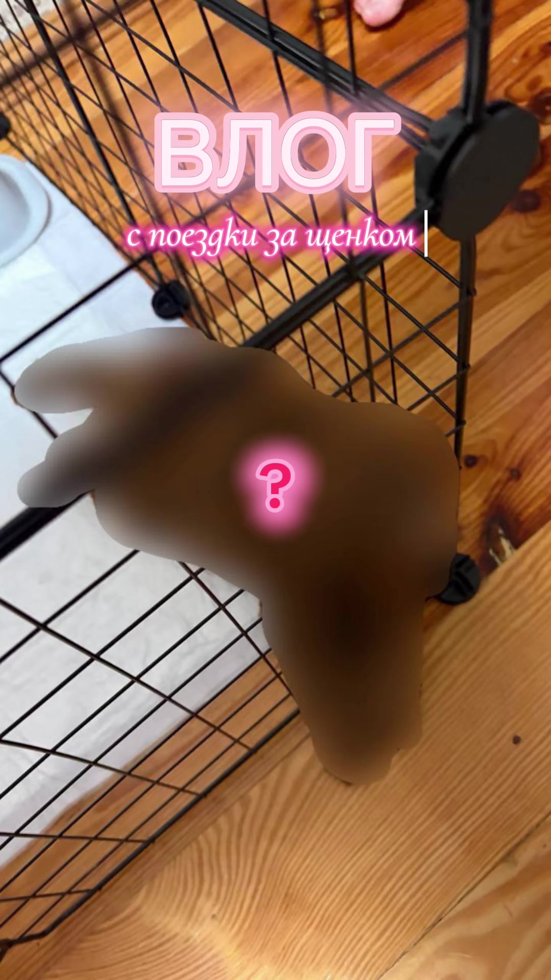 @𝑲𝒂𝒚𝒍𝒊🤍