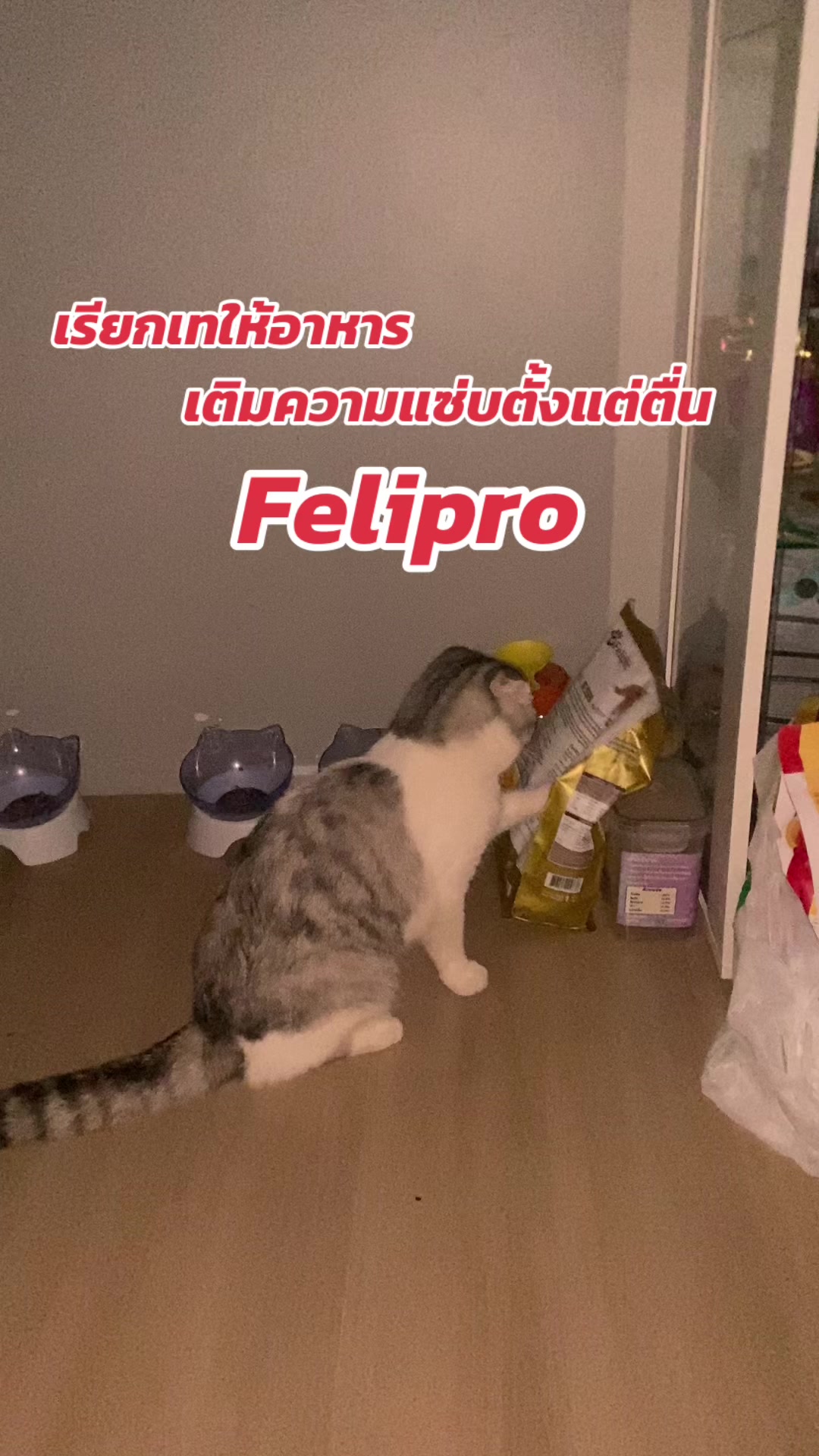 @εїз dokmai ✿ ꫂ ၴႅၴ