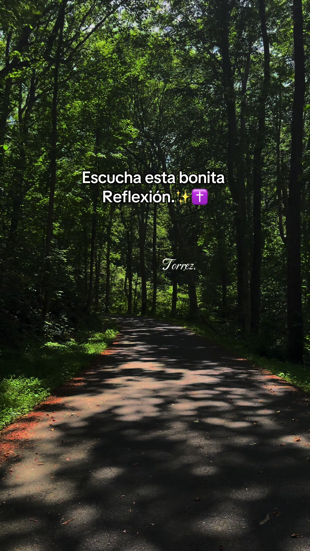 @torrez_0504