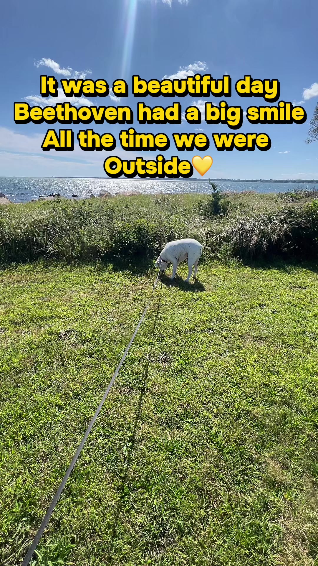 @eclecticshawn