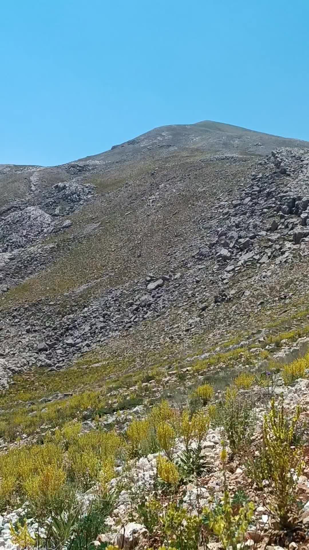 @Nazif Geriş