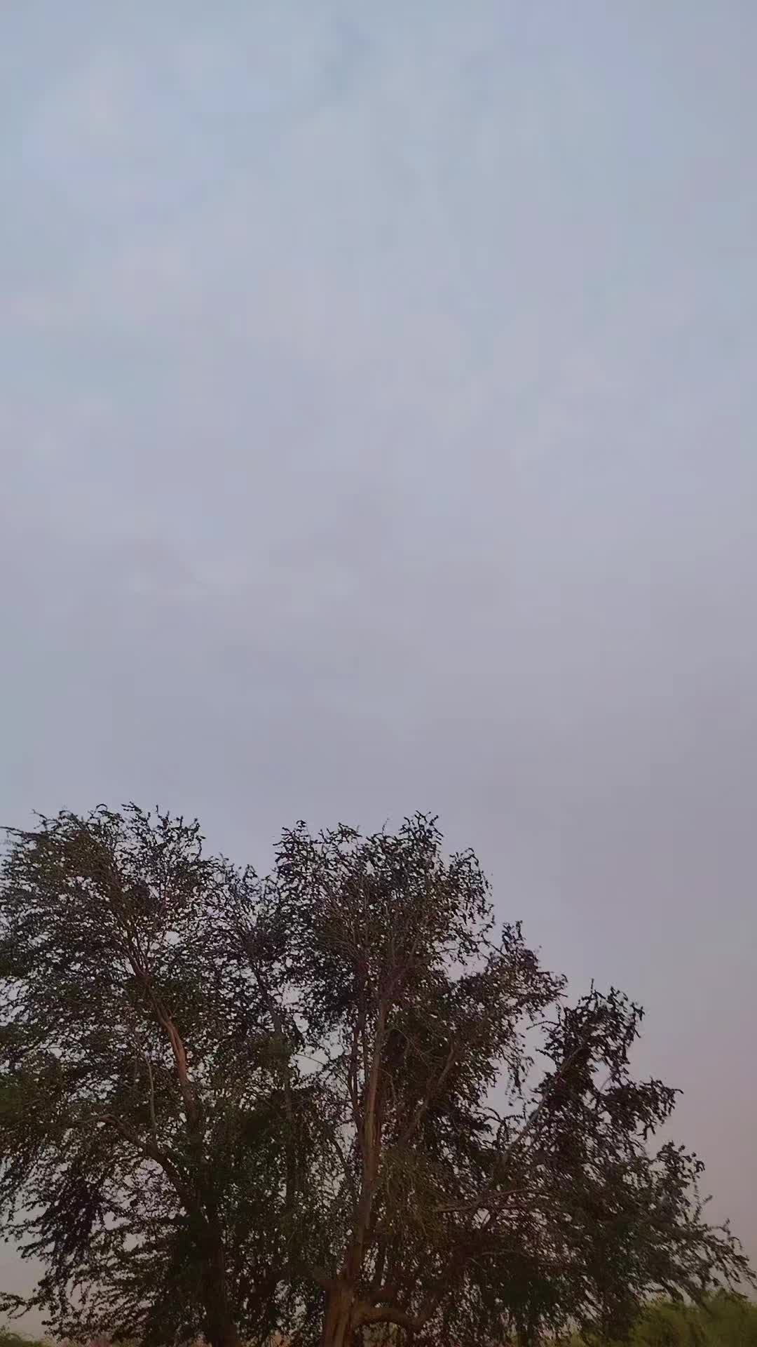 @نجم الظلام