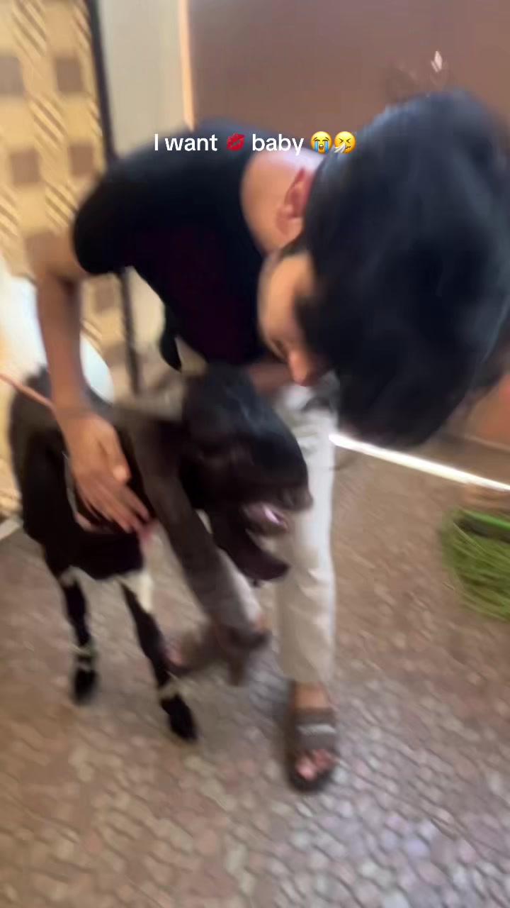 @حمزہ
