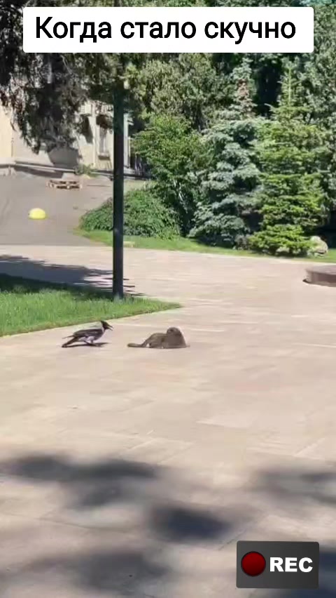 @Лариса