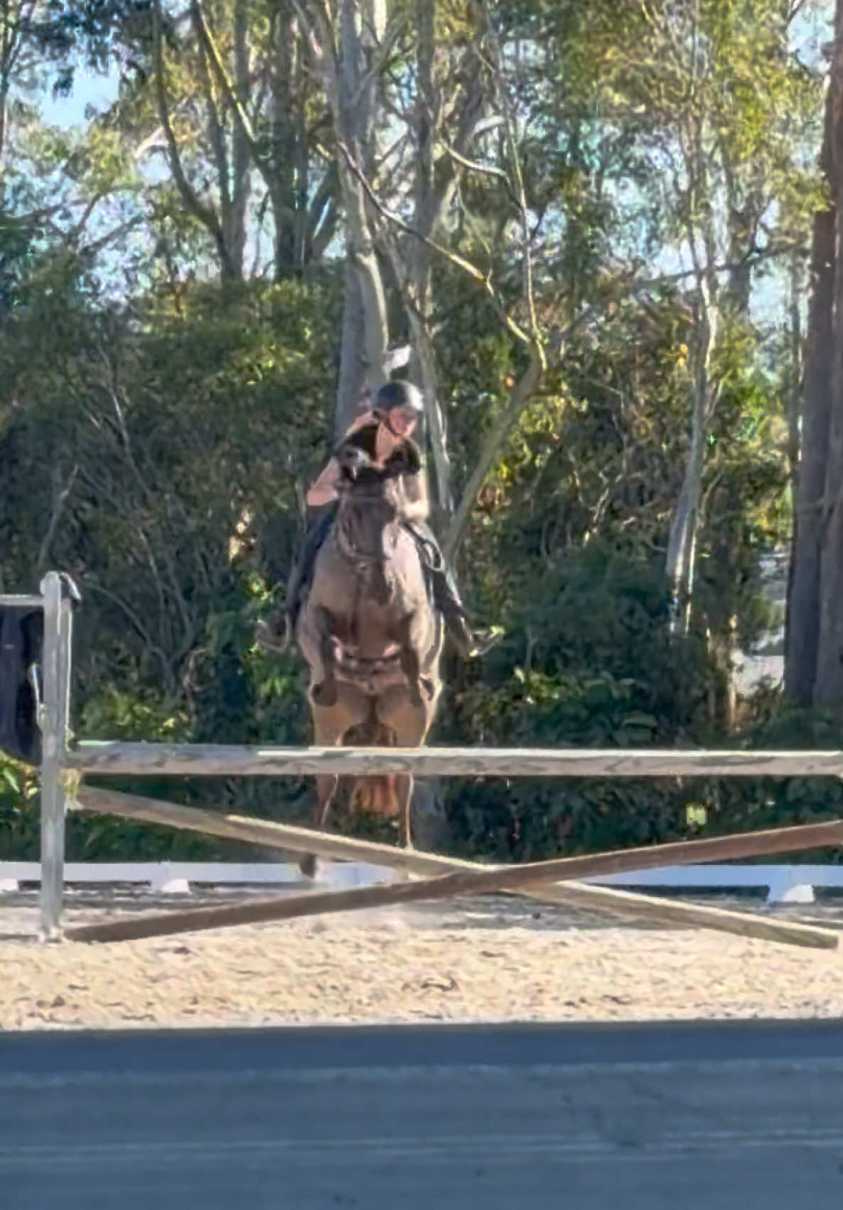 @kiara.grace.eq