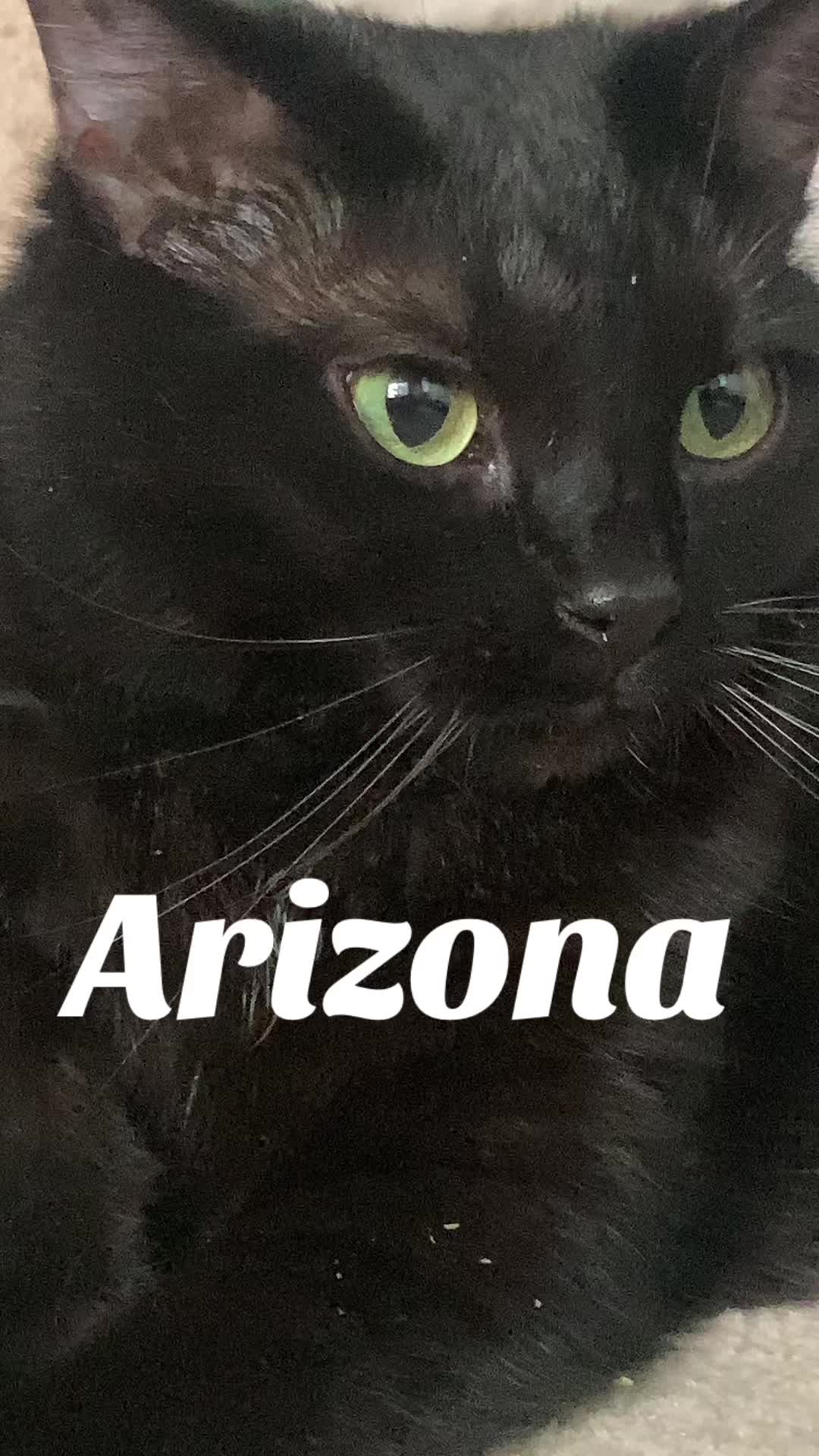 @Phoenix and Arizona