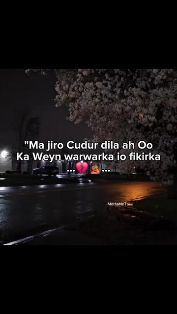 @MoHameTt🇩🇪