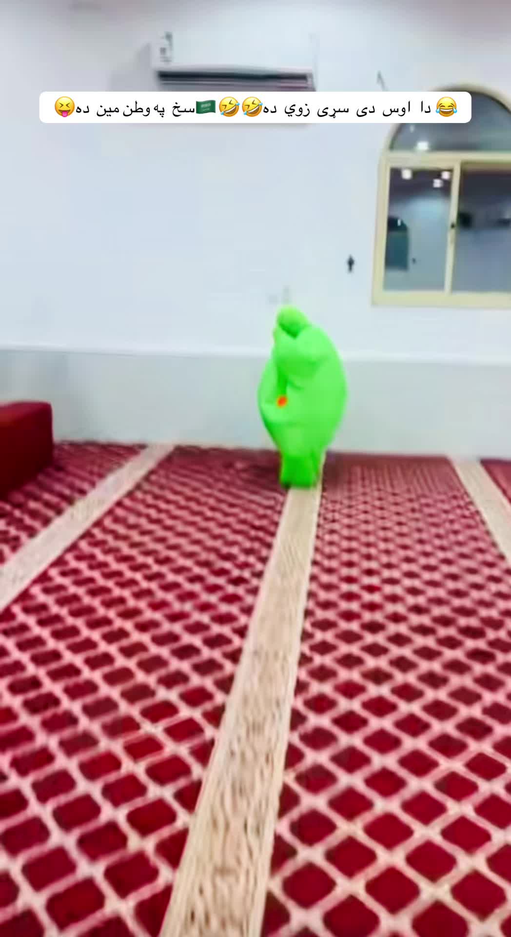 @🇸🇦𝐤𝐇𝐀ن  𝐬𝐀ح𝐢𝐁🦅