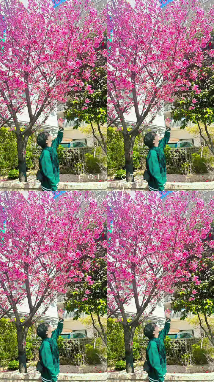 @♒翡翠JADE