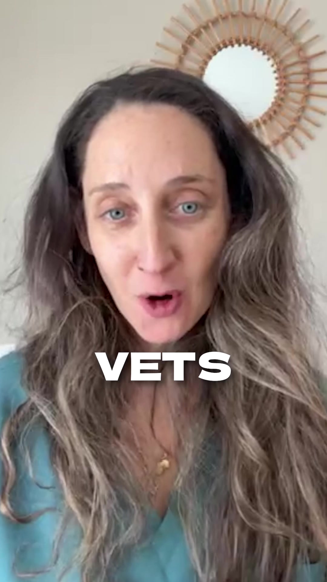 @The BK Pets - Dog Food Tips
