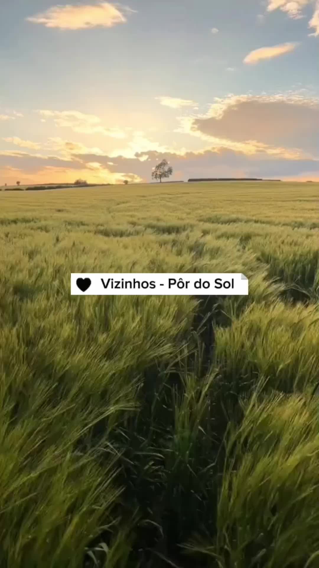 @M&uacute;sicas &agrave; Janela