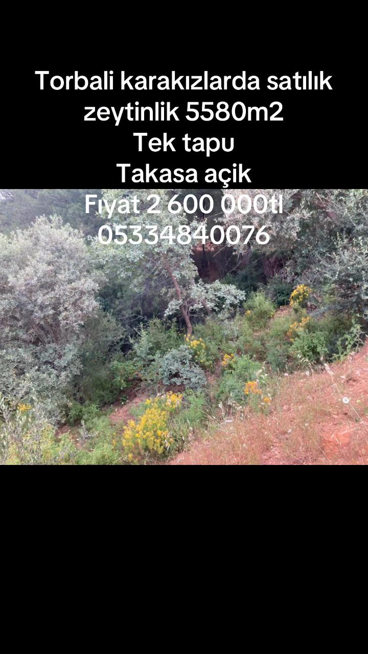 @Esra.polat.