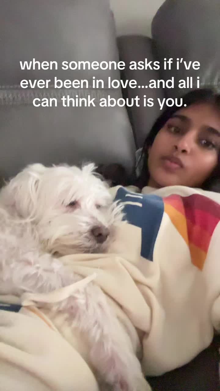 @Niya Patel