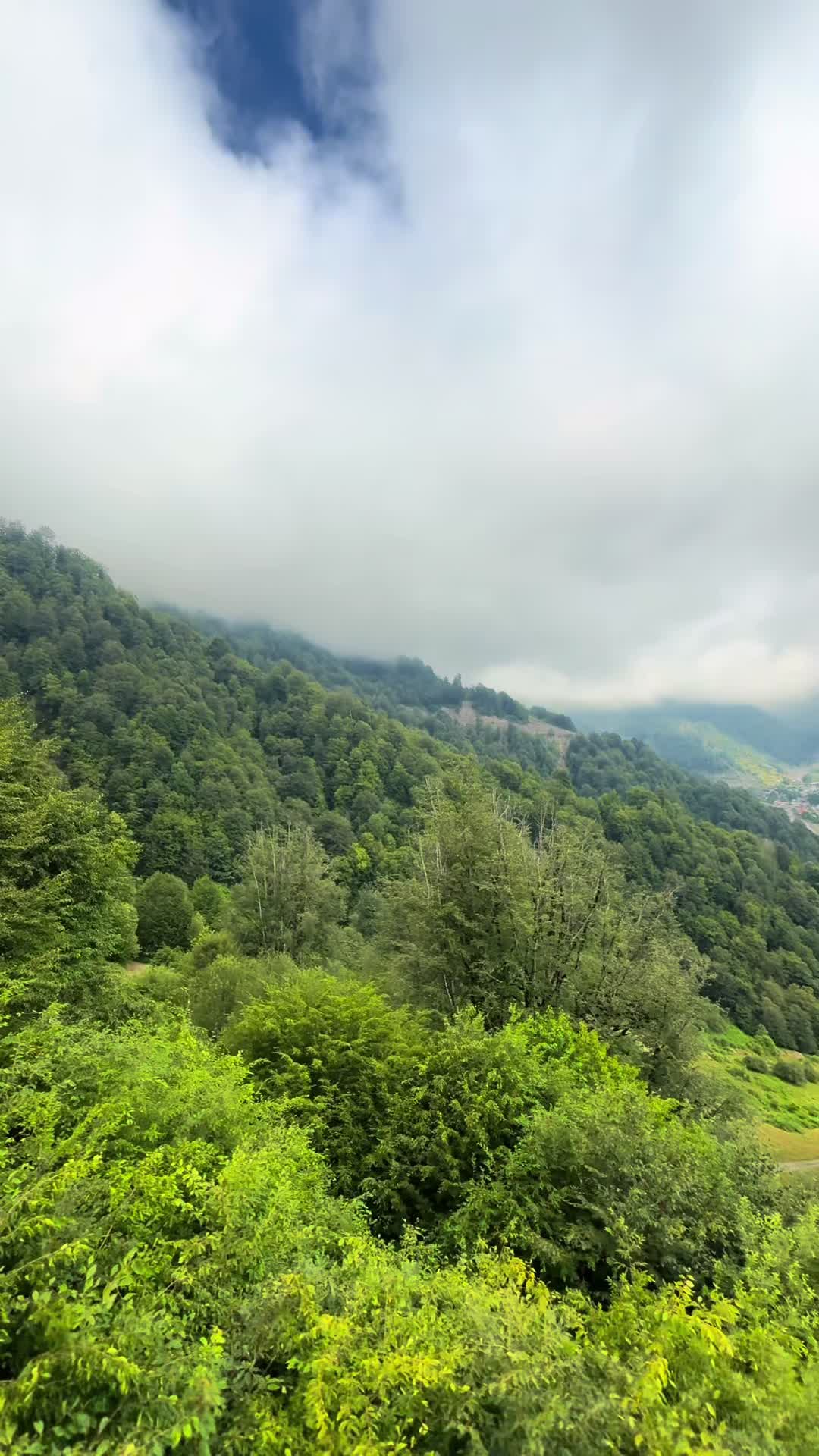 @𝑺.🇦🇿