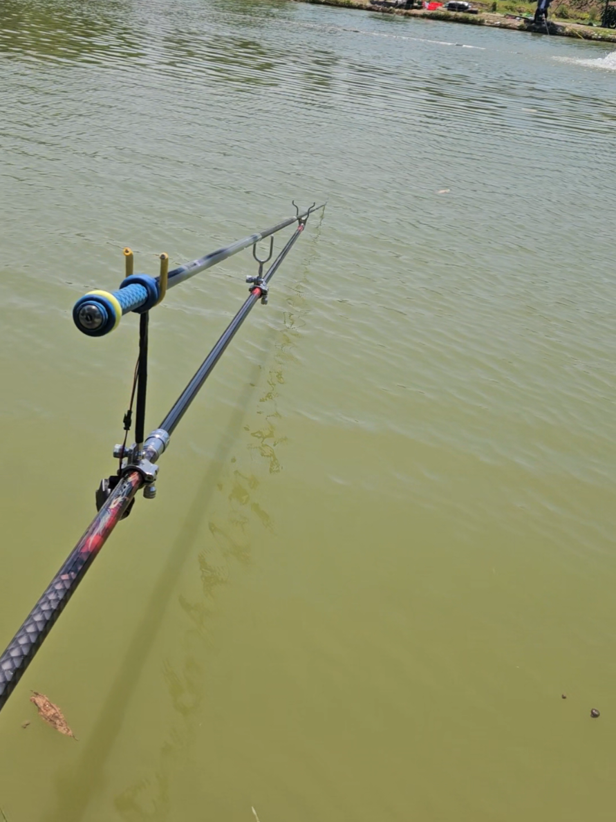 @Dũng Nguyễn Fishing