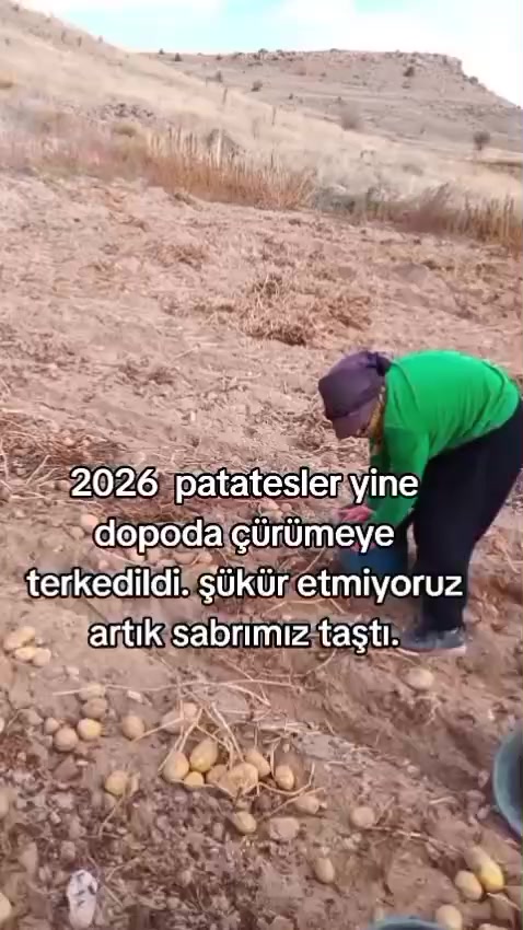 @kayaahmet50