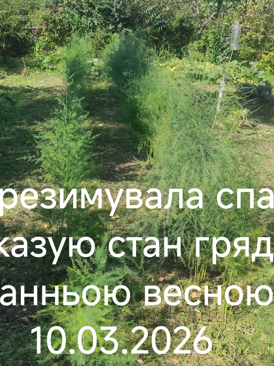 @Олег