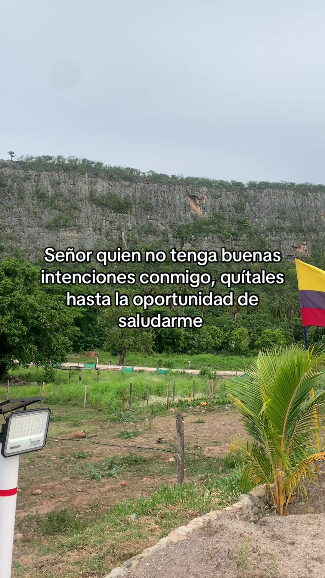 @Francis